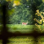 Tierpark Buchenberg * Waidhofen an der Ybbs