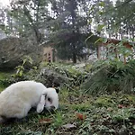 Tierpark Buchenberg