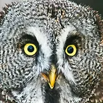 Tierpark Buchenberg *