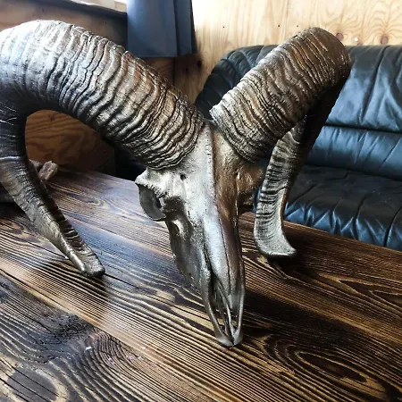 Tierpark Buchenberg Waidhofen an der Ybbs