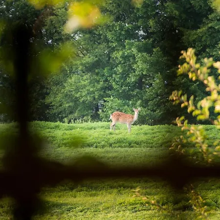 Tierpark Buchenberg * 바이트호펜 안 데어 입스