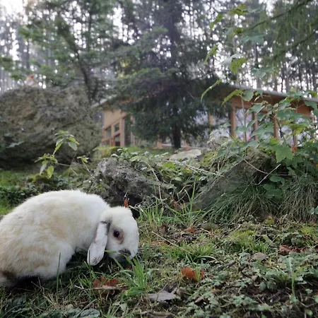 Tierpark Buchenberg