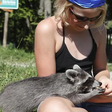 Tierpark Buchenberg