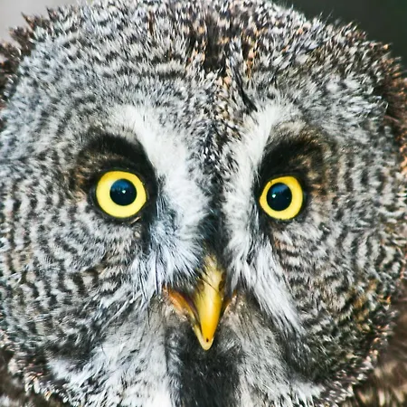 Tierpark Buchenberg *