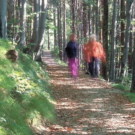 Tierpark Buchenberg Frühstückspension Waidhofen an der Ybbs