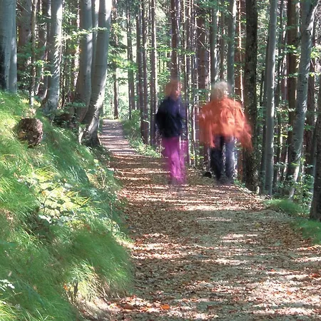 Tierpark Buchenberg Hotel Waidhofen an der Ybbs