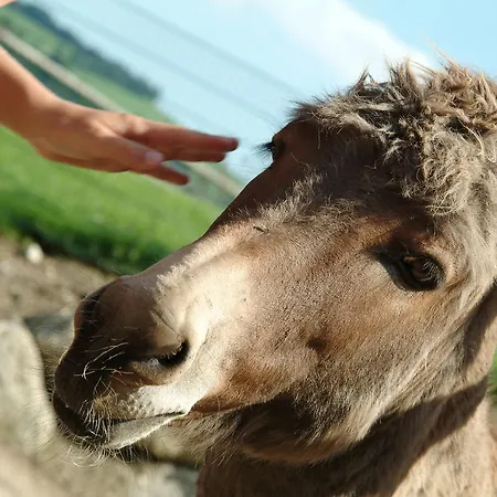 Hotel Tierpark Buchenberg *