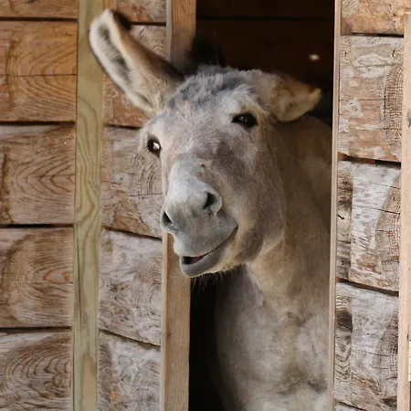 Tierpark Buchenberg *