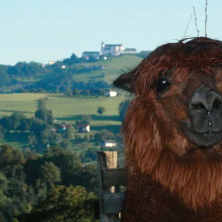 Hotel Tierpark Buchenberg