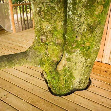 Hotel Tierpark Buchenberg Waidhofen an der Ybbs