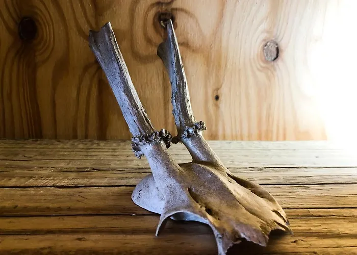 Tierpark Buchenberg *