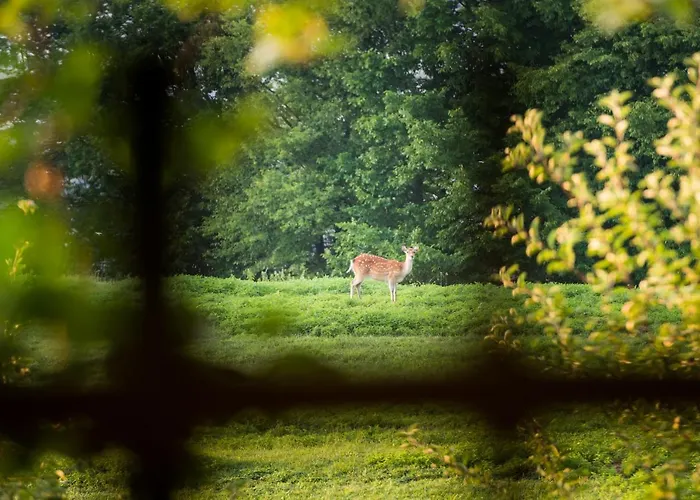 Tierpark Buchenberg * Waidhofen an der Ybbs