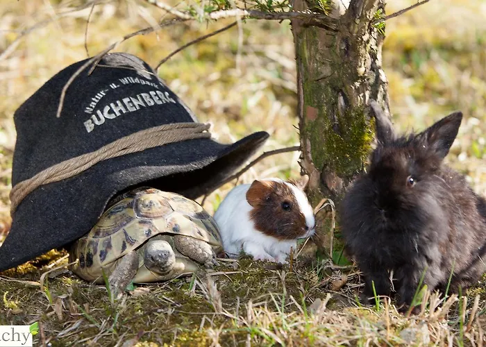 Tierpark Buchenberg Hotel