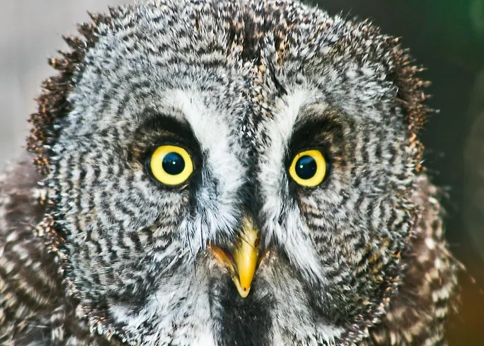 Tierpark Buchenberg *