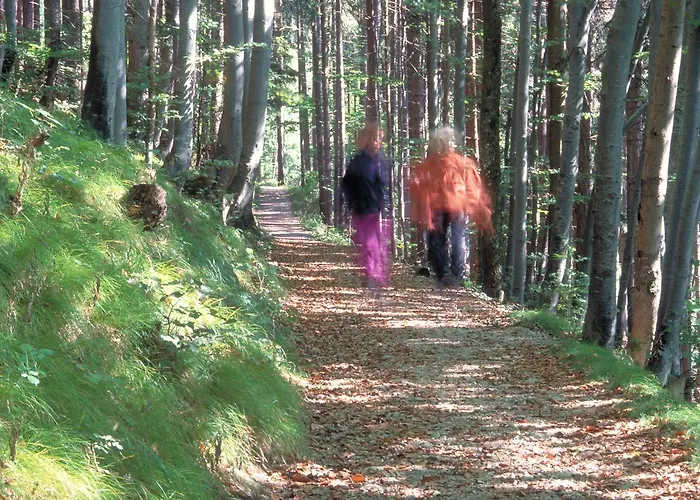 Tierpark Buchenberg Hotel Waidhofen an der Ybbs
