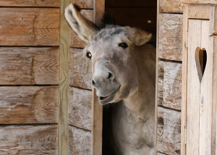 Tierpark Buchenberg *