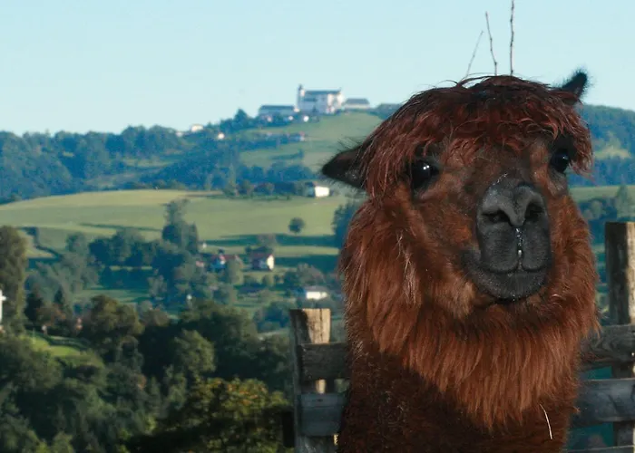 Hotel Tierpark Buchenberg