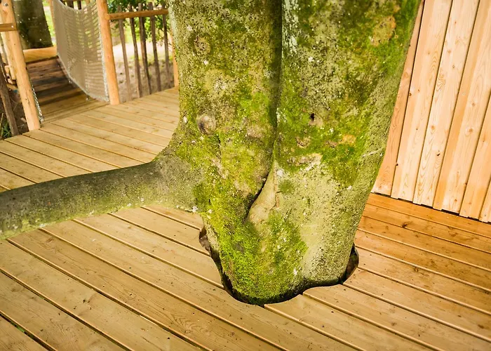 Hotel Tierpark Buchenberg Waidhofen an der Ybbs