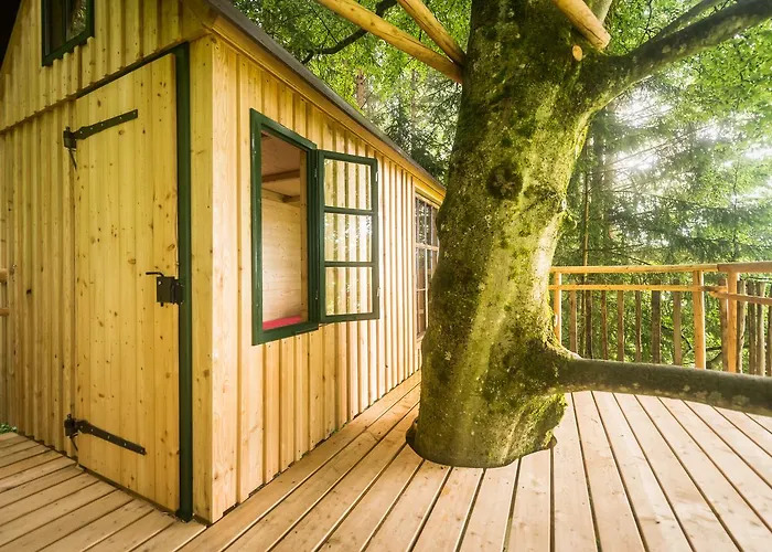 Tierpark Buchenberg * Waidhofen an der Ybbs